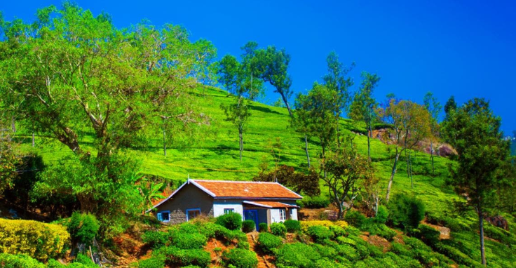 Ooty & Coonoor